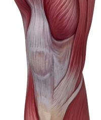 Meniszkusz sérülés