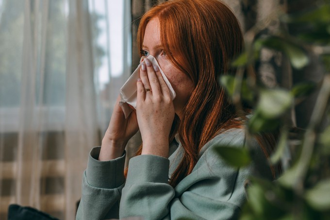 Vége a parlagfűszezonnak és még mindig tüsszög? Penészgomba is okozhatja című cikk nyitóképe