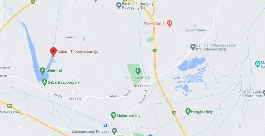 Gébárti Tó Kutyastrandja