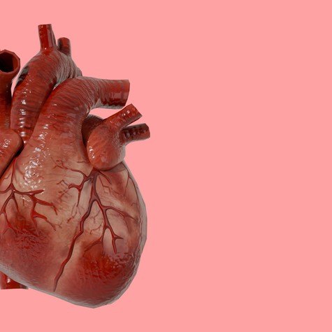 Miért nem hallunk szinte soha a szívrákról? Meglepő biológiai ok áll mögötte című cikk nyitóképe