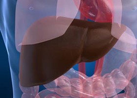 Tudjunk többet a májrákról...