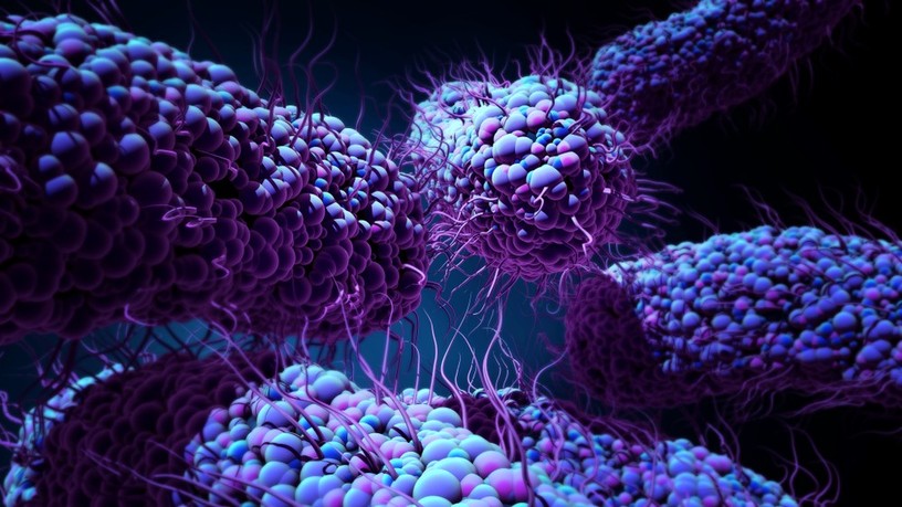 antibiotikumok, rezisztens baktériumok, antibiotikum-rezisztencia, antibiotikum-rezisztens