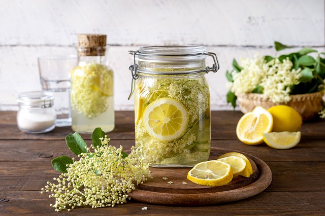 Itt a bodza szezonja: nem csak a finom íze miatt érdemes fogyasztani