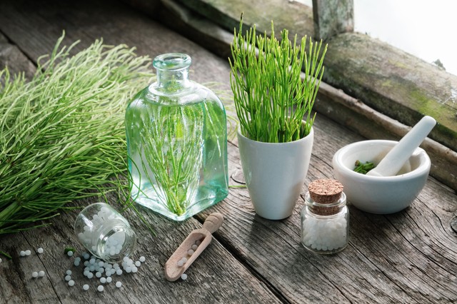 A 6 legerősebb, legjobb gyógynövények sebekre, gyulladásokra