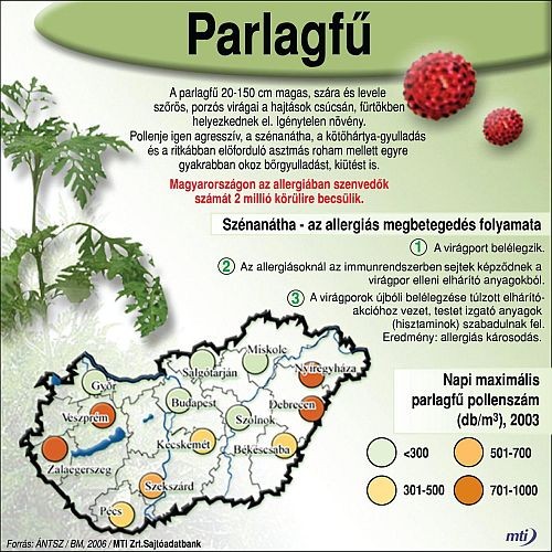Lássuk a parlagfüvet! Képes összefoglaló
