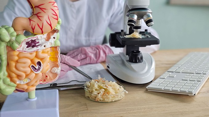 Hogyan változtathatja meg a cukor elhagyása a bélmikrobiomot? Nem lett jó vége, drámai eredmények születtek! című cikk nyitóképe