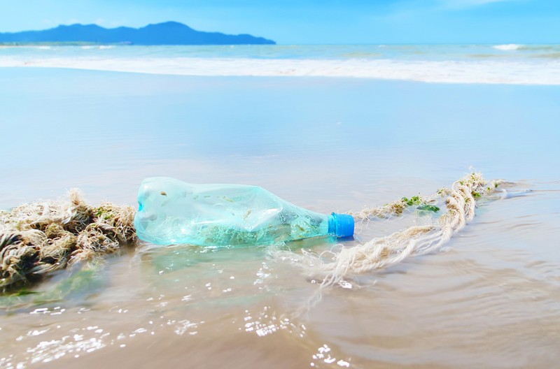 Mikroműanyagok: így kerülhetnek a vízből a szervezetünkbe