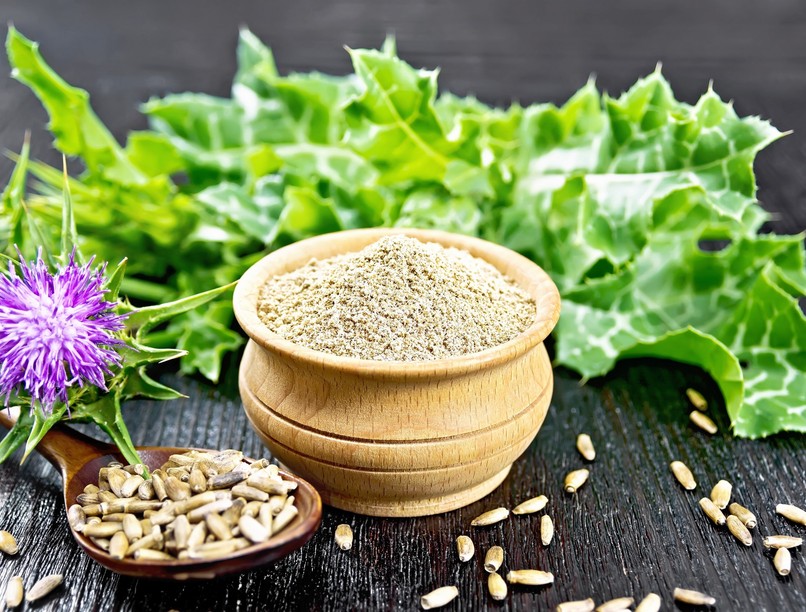 máriatövis májvédő gyógynövény