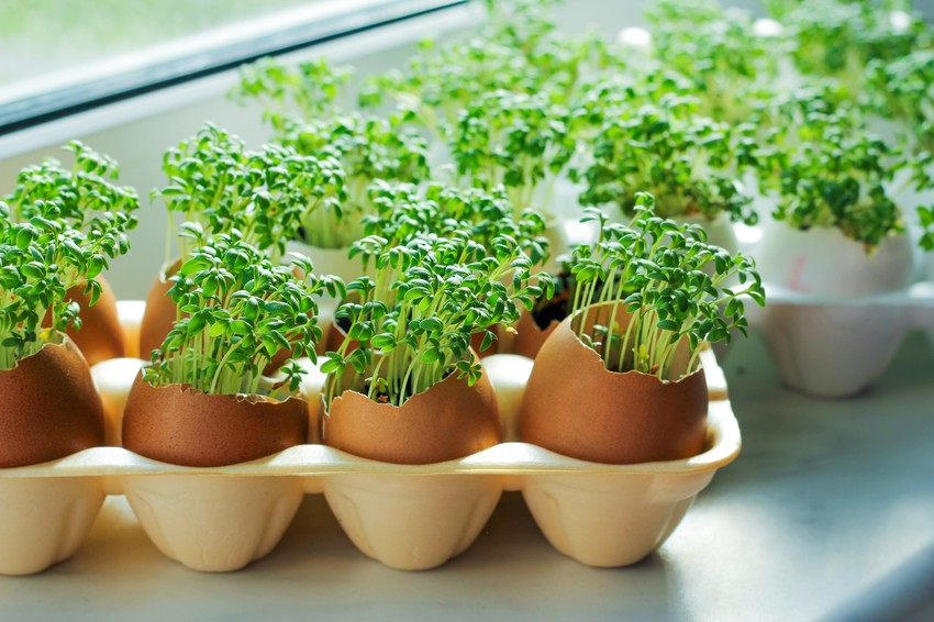 Tegyen érte ön is! – Ártalomcsökkentéssel egy füstmentes városért