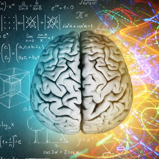 Így reagál az agy, amikor hirtelen minden megváltozik körülöttünk című cikk nyitóképe