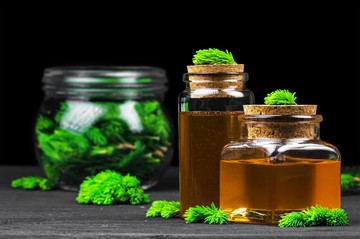 Fenyőrügy szirup, fenyőrügyméz készítése házilag