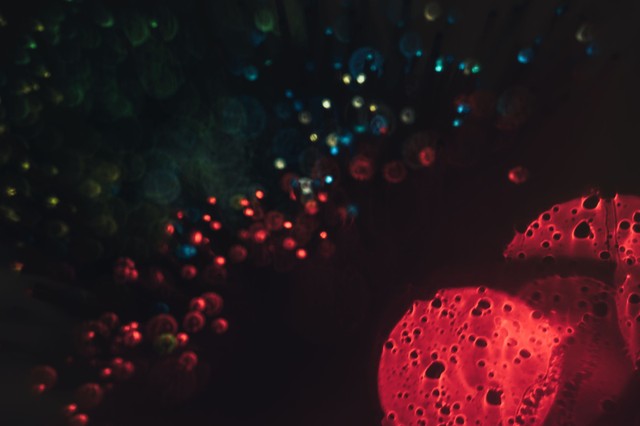 Ez a rák a legrosszabb - csendben pusztít, tünetek nélkül! A diagnózis utáni 5 évet a betegek 11 százaléka éli túl