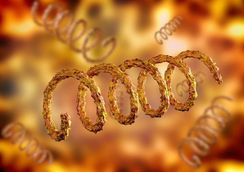 A szifilisz bakteriális eredetű, szexuális úton terjedő, rendkívül összetett betegség. Négy stádiumát különböztethetjük meg, és számos szervrendszert érinthet, a nemi szervektől a kardiovaszkuláris rendszeren át a központi idegrendszerig.