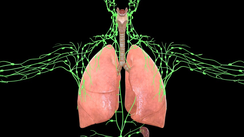 Ha a körmök vastagabbak a megszokottnál, sárgás színűek és lassan nőnek, akkor ez valamilyen tüdőbetegségre utalhat. 