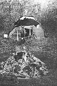 Szent István ünnepére: ősi magyar gyógymódokról