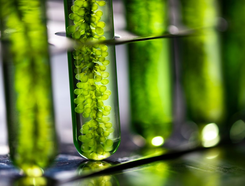 ökotudatos, fogyasztó, csomagolás, bioműanyag, műanyag, környezetbarát, WESSLING, laboratórium