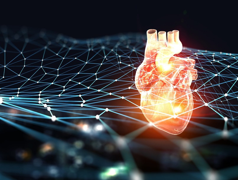 szívritmuszavarok szív vezérlőrendszer