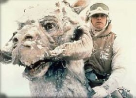 Luke Skywalker csodálatos megmenekülése