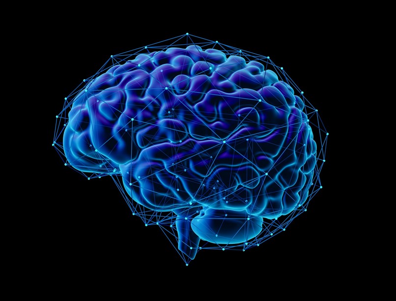 űrhajós agy kutatás magyarország