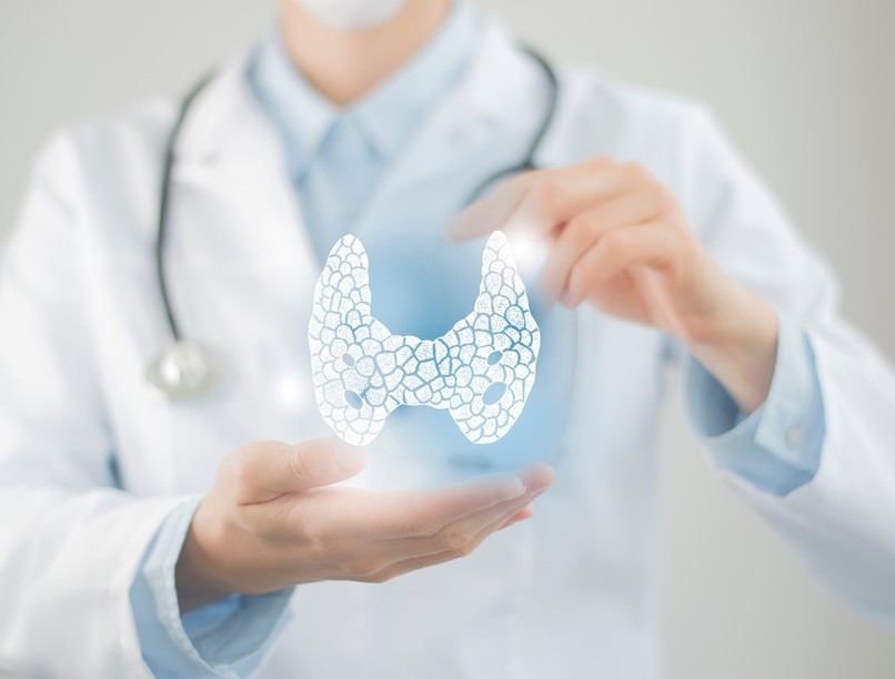 pajzsmirigy, hormon, hypothyreosis, kutatás, innováció, gyógyszerészet