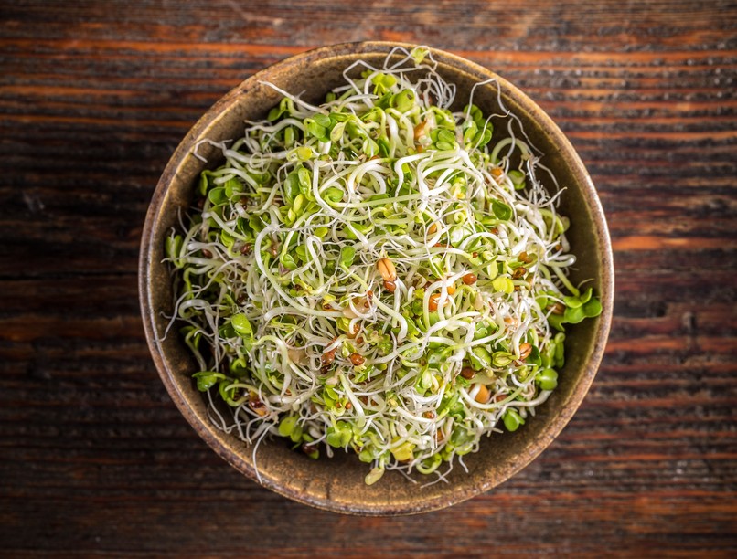 csíra, fogyasztani, emésztés, bélrendszer