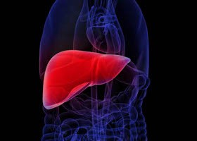 Vírusos májgyulladás (Hepatitis B)