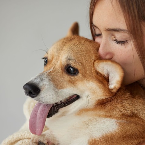Kutyapuszik és ölelgetés – Milyen betegségeket kaphat el a kutyájától? című cikk nyitóképe