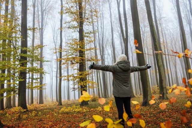 Ennyi mindenben segíthet, ha teszünk egy sétát a zöldben