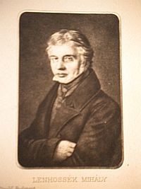 Szent szabadság... - nagy magyar orvosok a XIX. századtól