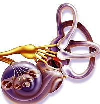 Meniére-betegség: tünetei, vizsgálata és kezelési lehetőségei