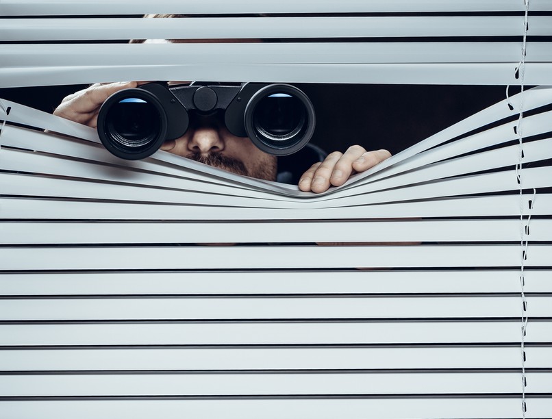 gólya, edelény, kamera