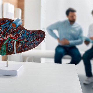 Mire utal a májmegnagyobbodás? című cikk nyitóképe