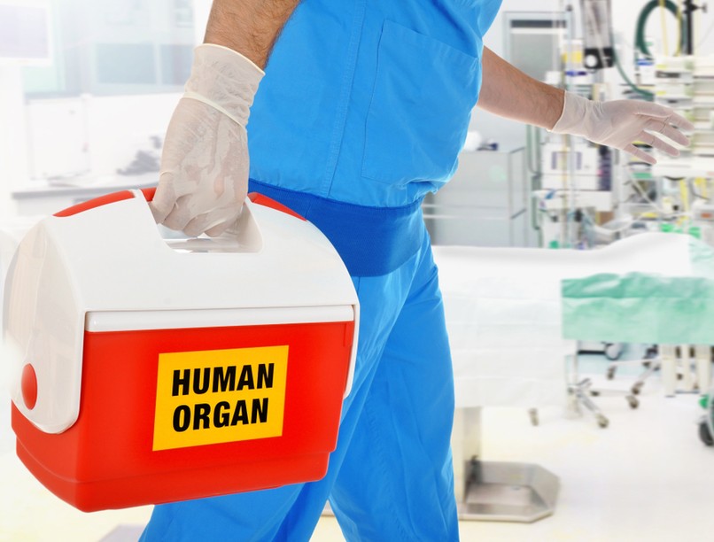 szervdonor, transzplantáció, rák, daganat, tumor