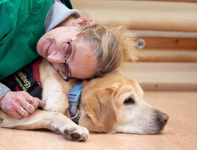 előre megérezte infarktus  vakvezető kutya