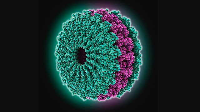 Ez volt az első vírus, amit a tudomány felfedezett és képen is rögzített