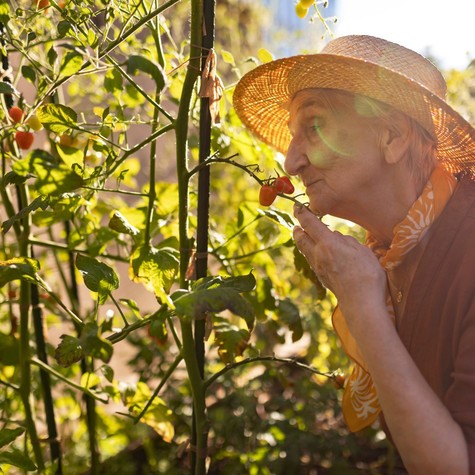 Az orr már évekkel korábban jelezheti a bajt: így szagolható ki az Alzheimer-kór! című cikk nyitóképe