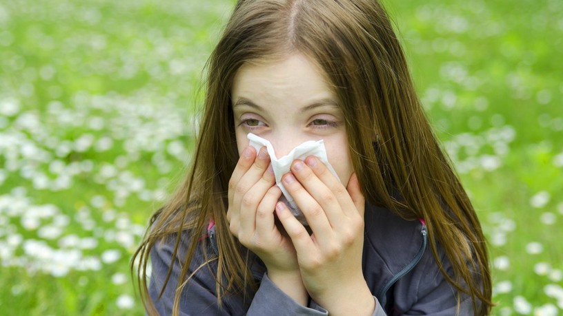 pollen