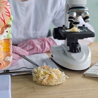Hogyan változtathatja meg a cukor elhagyása a bélmikrobiomot? Nem lett jó vége, drámai eredmények születtek! című cikk nyitóképe