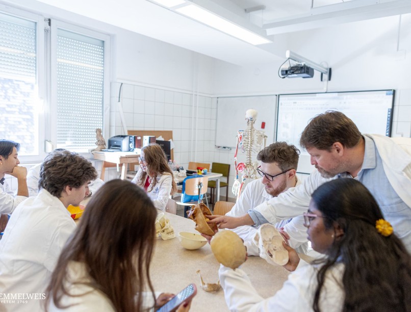 Semmelweis Egyetem oktatás