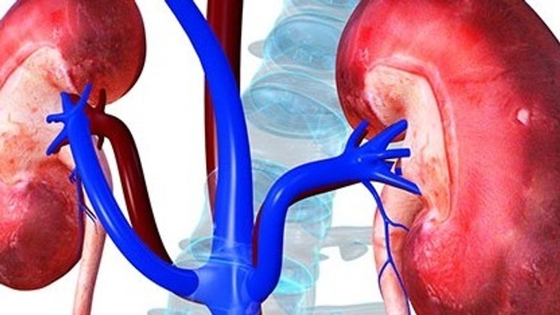 share-kidney-failure_0