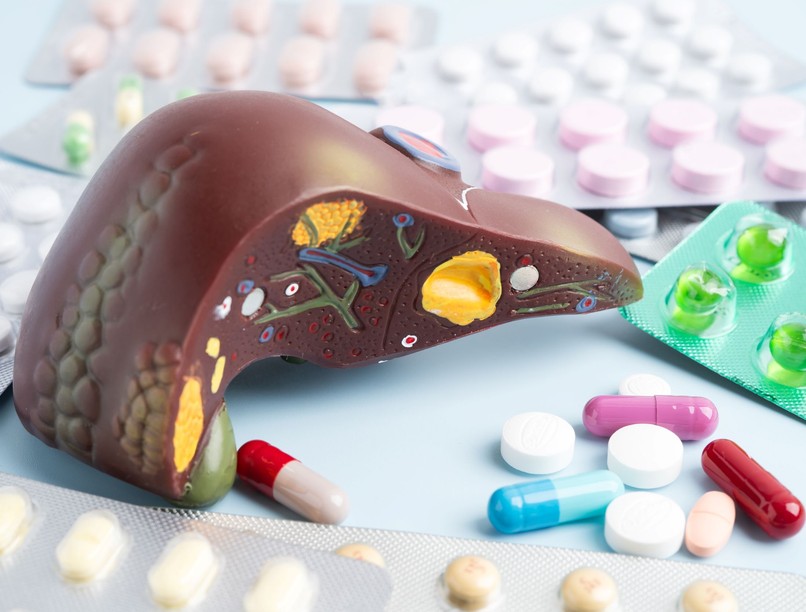 zsírmájra gyógynövény melyik