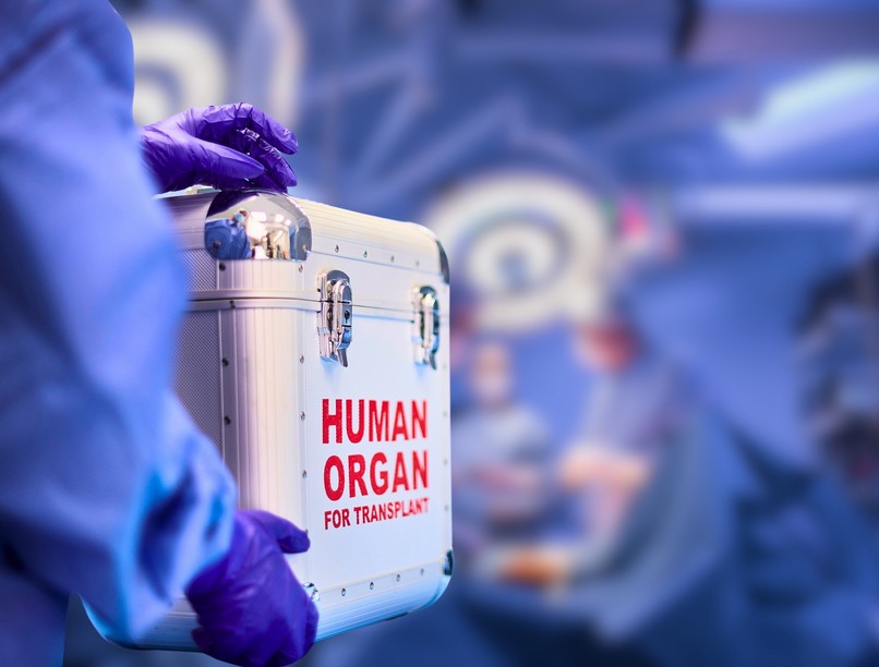 Hatpontos javaslatcsomag a szervátültetettek érdekében