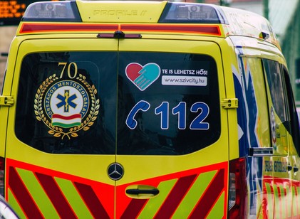 Újabb hős gyermek: így mentette meg testvére életét a 10 éves kisfiú című cikk nyitóképe