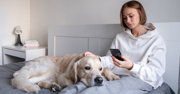 Négylábú antidepresszánsok: ezért csökkenti a kutyatartás a stresszhormonokat és a magányt