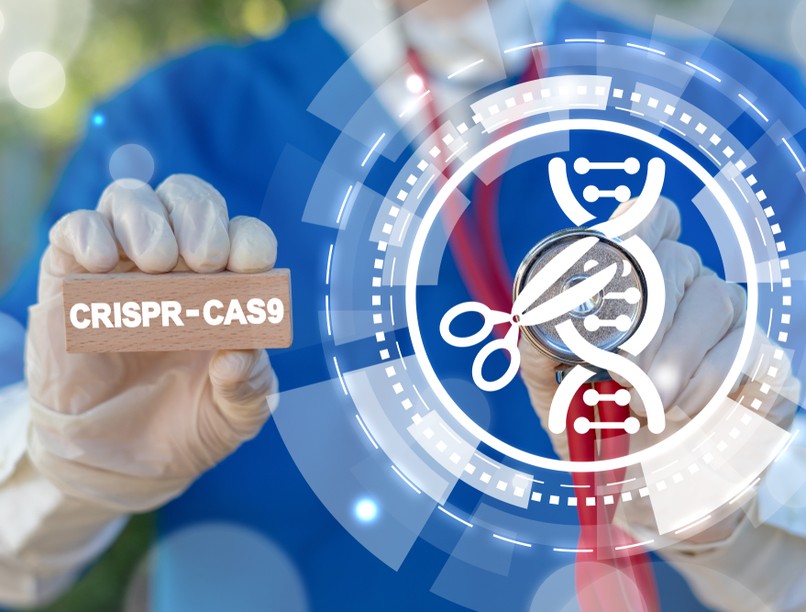 kutatás génterápia vérbetegségek gyógymód csontvelő vérszegénység