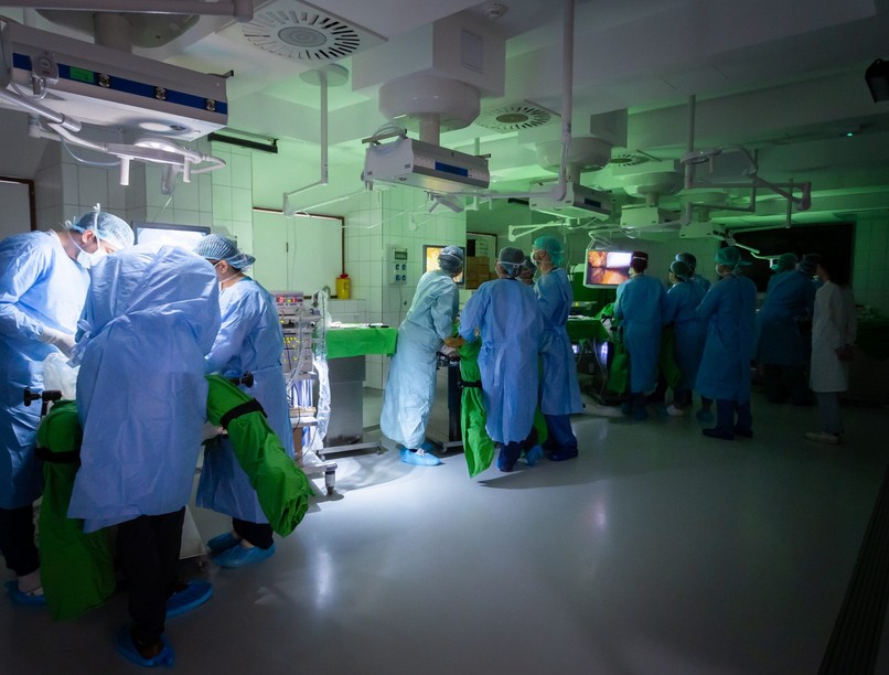 semmelweis egyetem kadáver kurzus