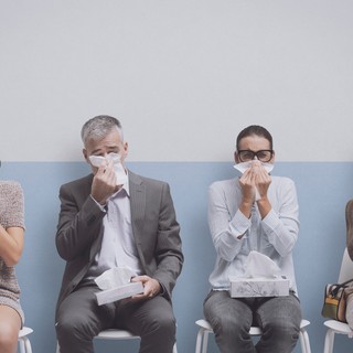 A kutatók megosztották: így csökkentheti felére a pollenallergia tüneteit című cikk nyitóképe