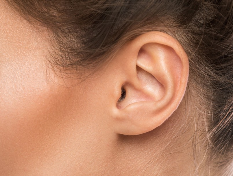 fülcimpa milyen megtud személyiség