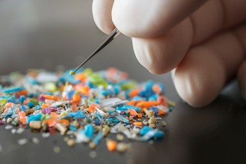 A nanoműanyagok egészségügyi kockázatait vizsgálják az SZTE kutatói