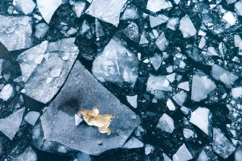 Újabb világjárvány veszélyezteti a világot? Megkongatták a vészharangot a tudósok